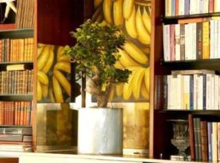 Hotel Villa Nina