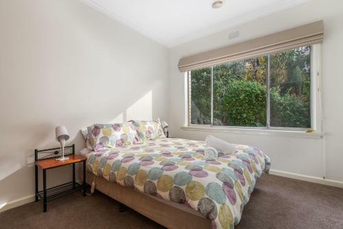 Apartamento City Lights