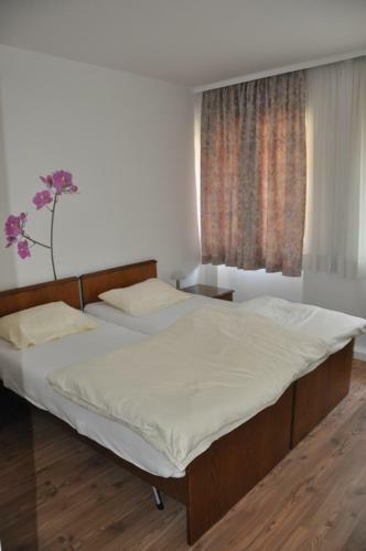 Hostal G�stezimmer Michelangelo