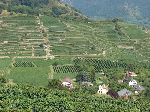 Hostal G�stehaus Ruinenblick