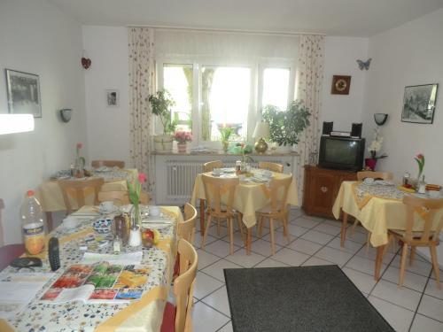 Hostal Hotel Pension Haydn