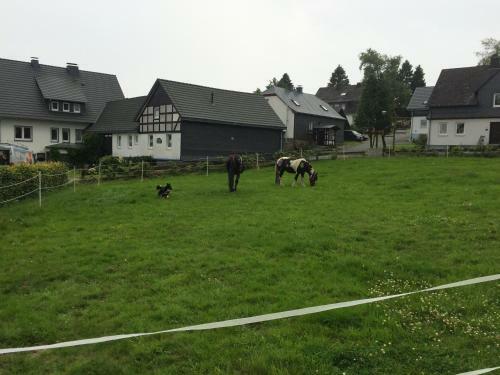 Hostal Landgasthof Gilsbach