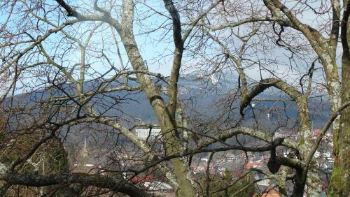 Apartamento Bergziege