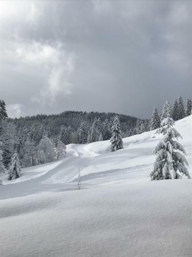 Herbst Alm