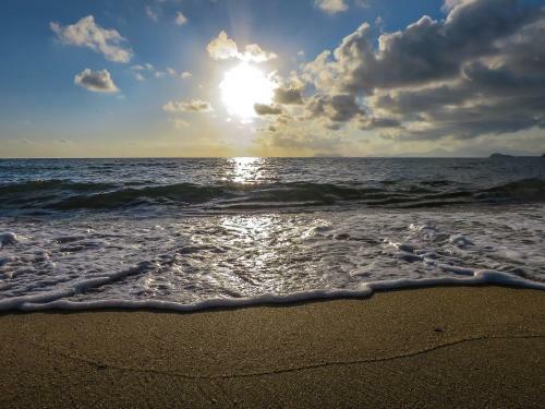 Albergue Cairns Beaches Flashpackers