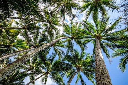 Albergue Cairns Beaches Flashpackers
