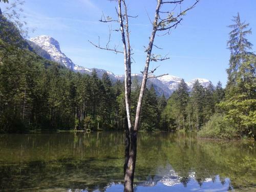 Hostal Pension Leprich