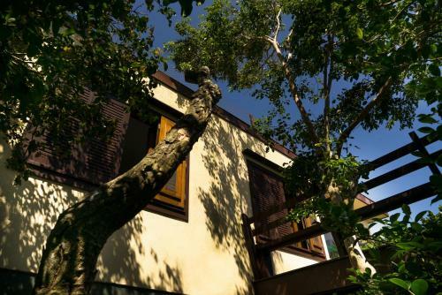 Bed & Breakfast Casa Solar