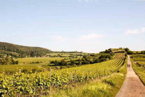 Hotel & Cafe�ritter Von B�hl