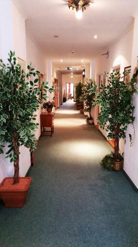 Hotel Drei Mohren