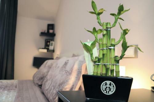 Derelli Deluxe Apartment
