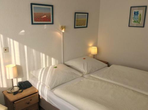 Hotel Del Sol