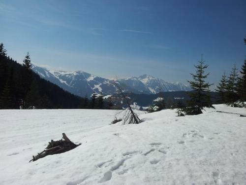 Apartamentos Appartement Hubertus