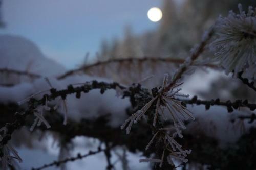 Hotel Pension Tyrol