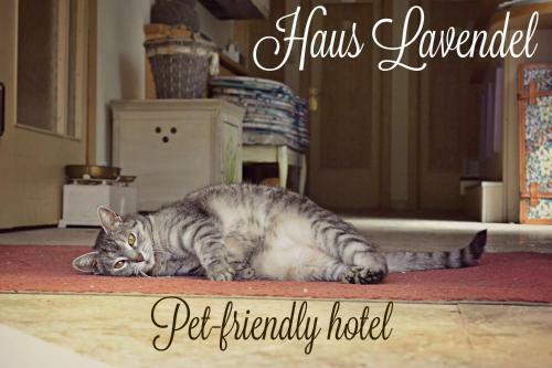 Hotel Haus Lavendel