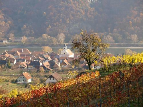 Weinbau Weidenauer
