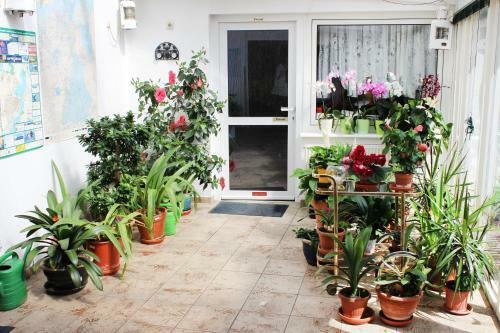 Hostal Hotel Pension Kirschstein