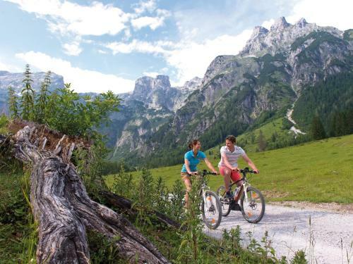 Hotel Travel Charme Bergresort Werfenweng