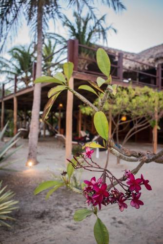 Hostal Casa Areia Pousada