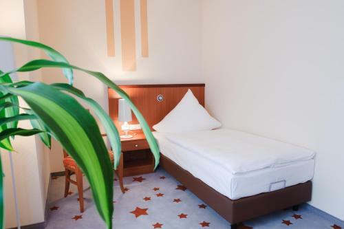 Stadthotel Stern