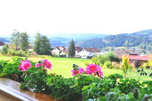 Ferienwohnung Haus "hirschgarten"