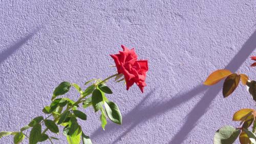 Hostal Pousada Da Lucinha