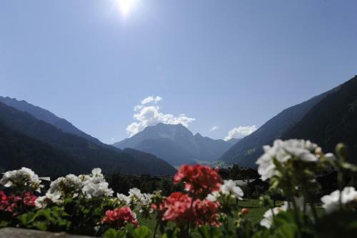Apartamento Appartments Alpina