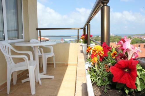 Hotel Radik