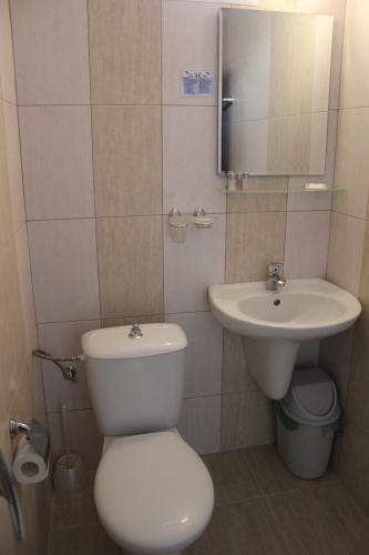 Hotel Radik