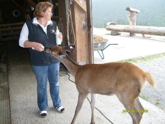 Agroturismo Landhaus M�ller