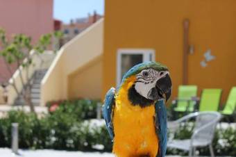 Apartamento La Vida Sin Limites