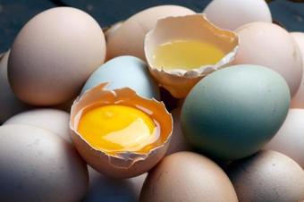 Agroturismo Hostel Pacau Farm