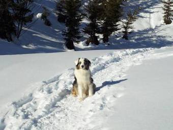 Lodge Cabane Entre Terre Et Ciel