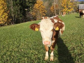 Agroturismo Ahlhof