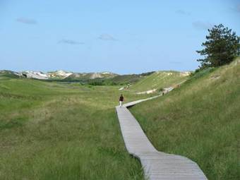 Apartamento Ferienhaus-heisser-sand-whg-6