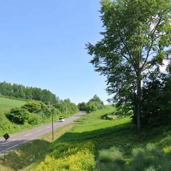 Bed & Breakfast Pension Megumiyuki