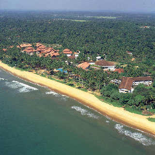 Hotel Royal Palm Beach