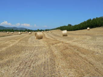 Apartamento Corte Monticello