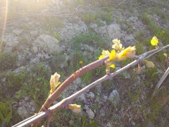 La Giolitta Bed & Breakfast