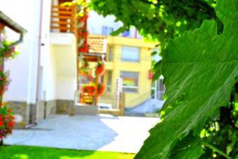 Hostal Pensiunea Ruxi