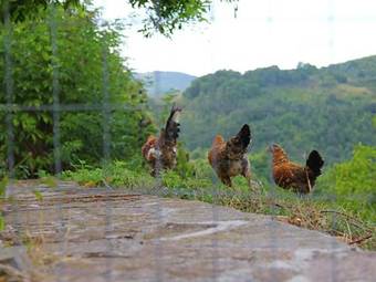 Holiday Home Lill�