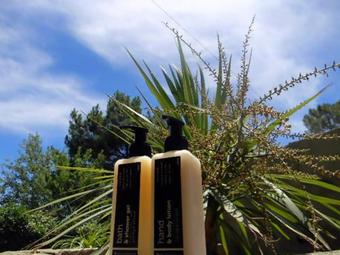 Hostal Zamar Guest House