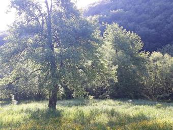 Lodge Pryvatna Sadyba U Myroslavy