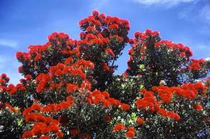 Aparthotel Comfort Inn & Suites Kudos