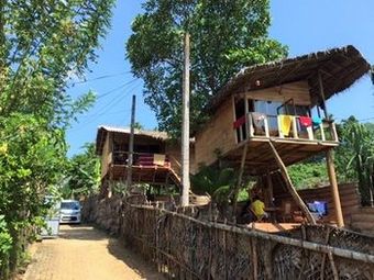 Hotel Sea View Tree House