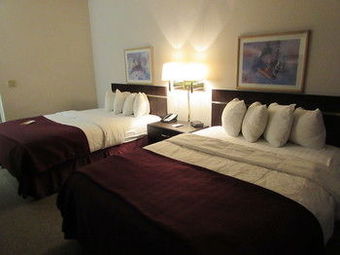 Motel Quality Inn & Suites