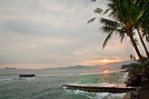 Hotel The Nirwana Resort And Spa