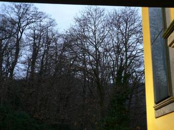 Hotel Benito Al Bosco