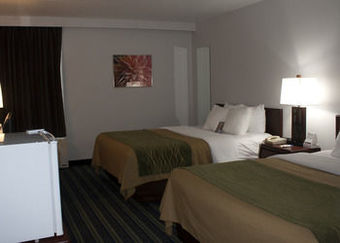 Hotel Comfort Inn & Suites