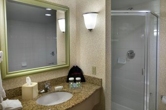 Hotel Hilton Garden Inn Detroit Downtown